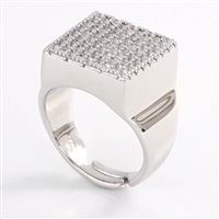 Anello Artlinea Donna in Argento Zircone ZAN540-LB - ZAN540-LB